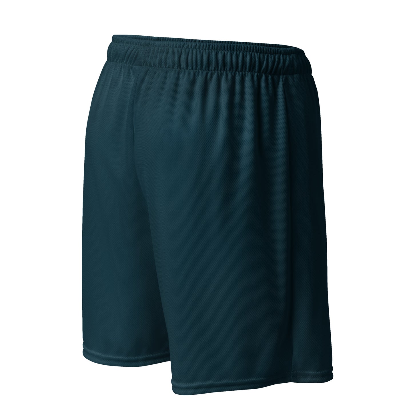 Visible Mesh Shorts - Teal